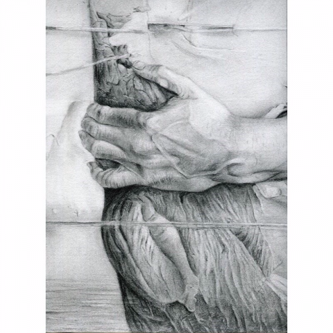 楊雅名 - 素描臨摹