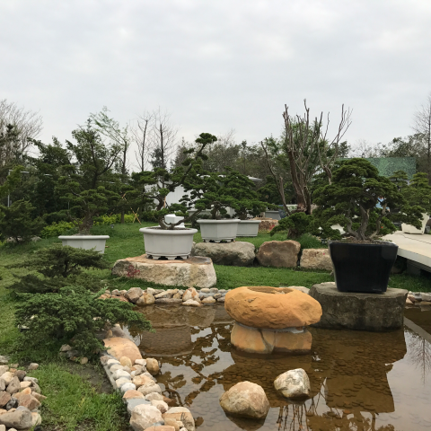 汏業工程有限公司 - 花園廣場施工