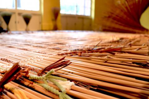 Klein - 攝影拍攝