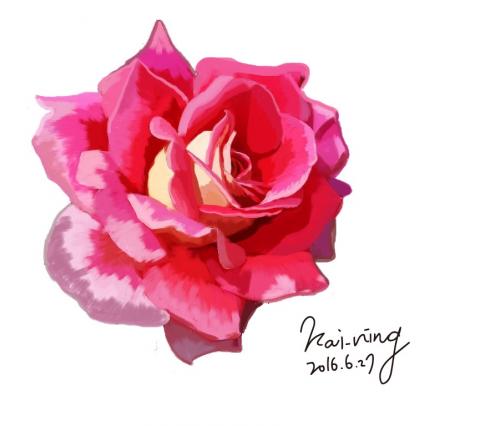 Ning studio - 牡丹電繪