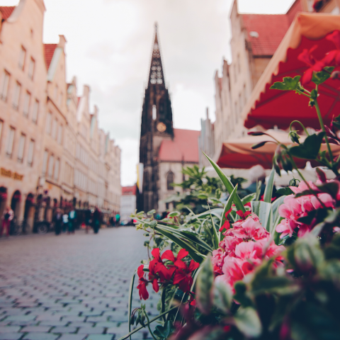 Allirsx   - 德國 旅遊攝影