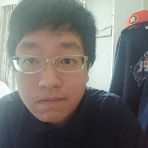 提供工作內容服務的專家粽子