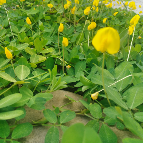 提供行政助理工作內容服務的專家佳宜