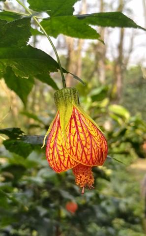 Infinity Creative Studio - 攝影