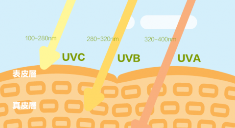 玩食視覺 - 科學內容文章插圖設計