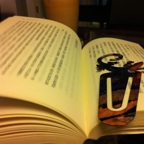 提供多少服務的專家朗慧