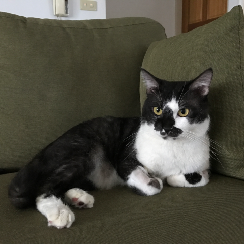 提供休息旅館服務的專家雙和醫院