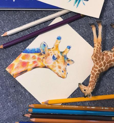 楊凱強Noel Yang - 