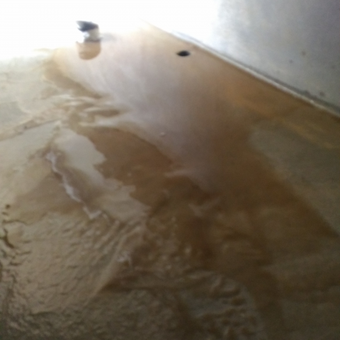 女人家清潔社 - 洗水塔