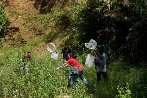 展望科學教室 - 戶外課程 昆蟲採集