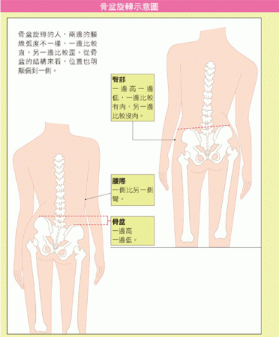 希格瑪運動空間Sigma Studio - 