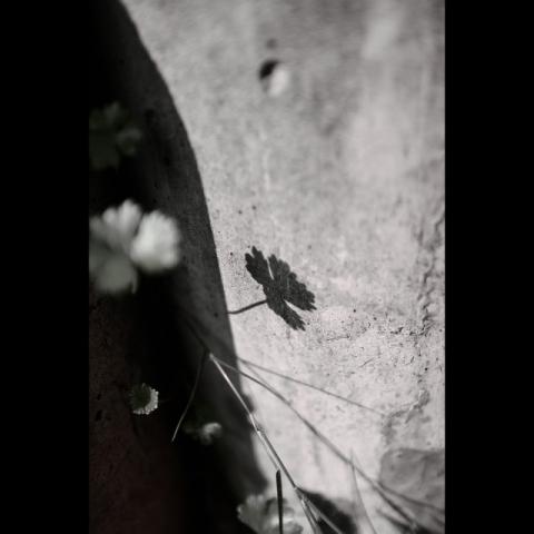 youren Chen - 小品