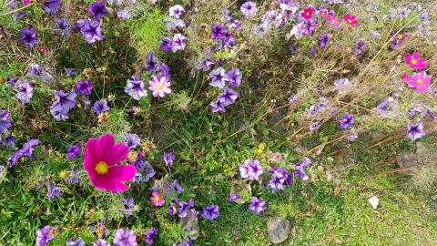 星海4K - 4K PHOTO EXAMPL