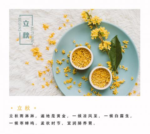 月球之旅工作室-林裕翎 - 粉專素材設計