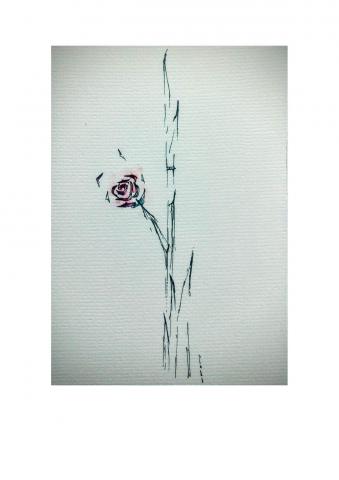 賴英倫 (珮瑩 Aining Art Studio) - 工作室作品-簽字筆、色鉛筆插畫