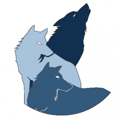 提供遊戲制作服務的專家群狼遊戲有限公司