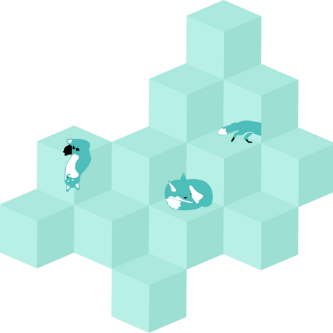 提供pc中空板服務的專家Mandy