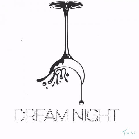 憶設計工作室 - 夜店Dream night 19 logo設計:在我們開燈之後夜晚才剛開始。