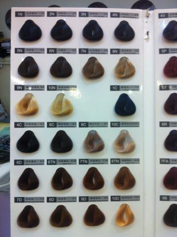 小潘珠寶、室內設計-工作室 - 染髮色卡