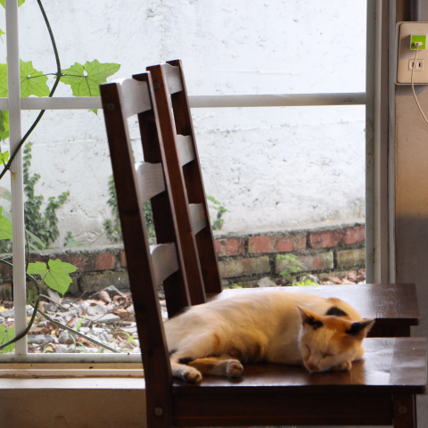 卓妙如 - 相關攝影作品
在一間民宿度過慵懶的下午。
-
在台東住2個月，用我的視角所記錄的一切。
如想觀看更完整作品可至以下連結了解!
https://drive.google.com/drive/folders/0B-C1VPaLznNsbmF3bTJzZHZSVDg?usp=sharing