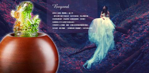 個人設計工作室 - 擴香儀精油benner廣告設計