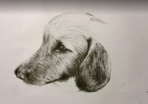 陳小姐 - 照片素描
鋼筆繪畫