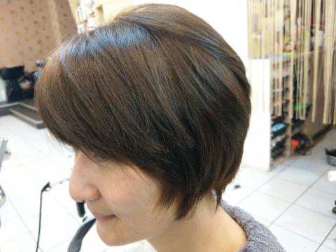 凱締美髮美容沙龍 - 俏麗的短髮搭配霧棕色不但修飾臉型還將客戶的膚色帶出白裡透紅的感覺，讓客戶直說帶著妳的招牌真的從來沒有丟臉過??