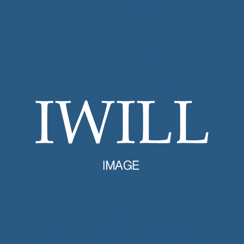 提供拍照風格婚紗服務的專家IWILL