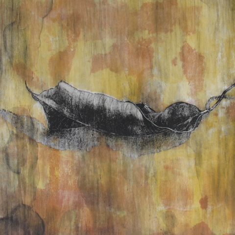 施老師 - 凹版畫