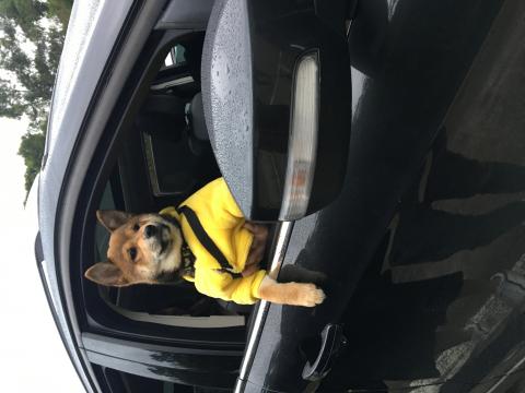 文文 - 太郎住宿兜風❤️