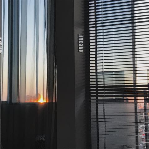 洪玫琪 - 攝影作品