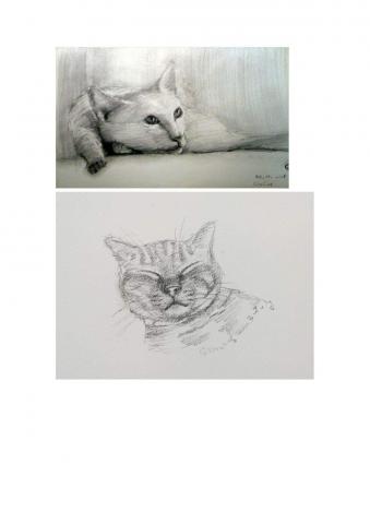 賴英倫 (珮瑩 Aining Art Studio) - 工作室作品-貓咪素描