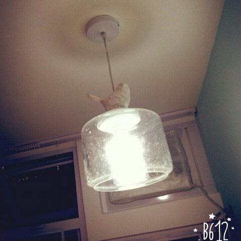 LunaCat居家打掃服務/窗簾/寵物保姆 - 室內設計（睡房）－裝潢後