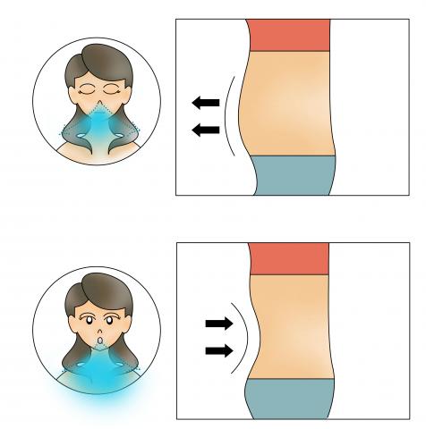 Shiny's SOHO - 碩士論文圖片製作