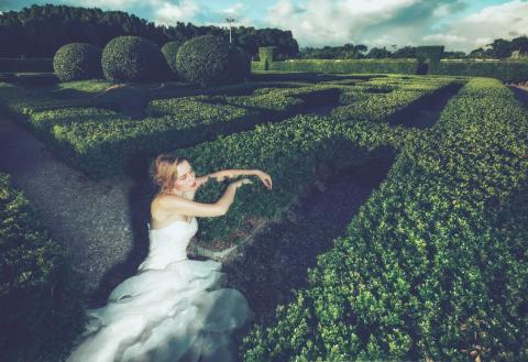 Lookin Photography  - 