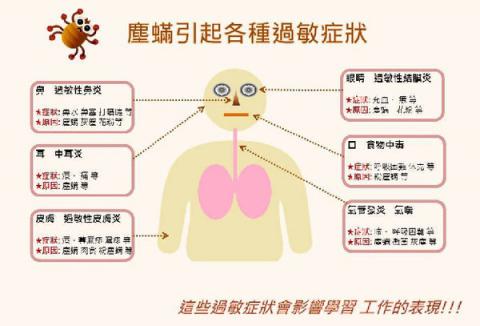 清塵除螨專家 -  清塵除螨專家 -