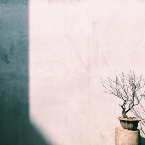 VIA Studio - 靜物攝影作品