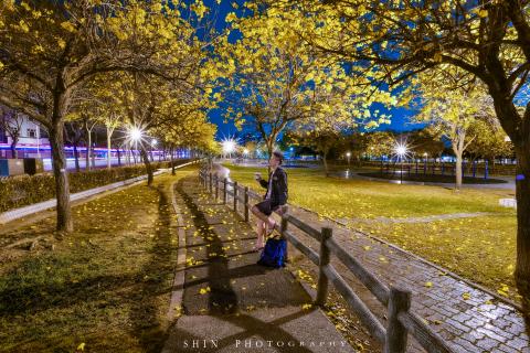 黃世昕 - 黃花下的呢喃