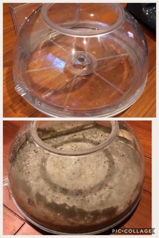 潔德美有限公司 - 公司不惜成本引進義大利進口專業除蟎吸塵器，利用水濾式過濾塵蟎，緊緊鎖住在水分裡面，不揚塵！