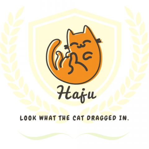 提供架站服務的專家Haju