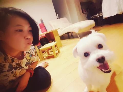 崔曉媛 - 朋友出國到家幫帶狗狗散步兼餵飯玩耍