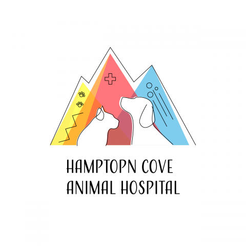 Ever Hochen - Logo for Hampton Cove Hospital.
