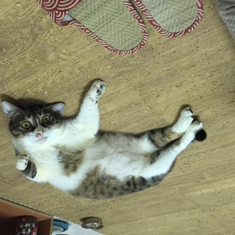 文文 - 小波好可愛❤️