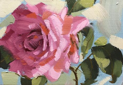 張駿業（陽台藝術設計） - 自然花卉