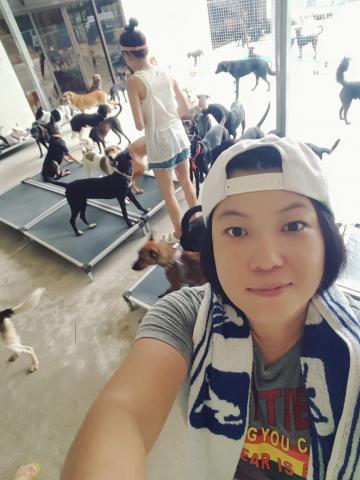 崔曉媛 - 私人狗場當一日志工,清掃環境及帶狗狗散步訓練基本服從