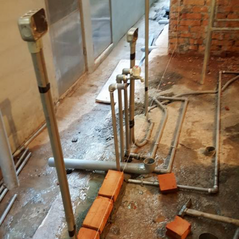 提供麻豆吳夢夢服務的專家吳政陽