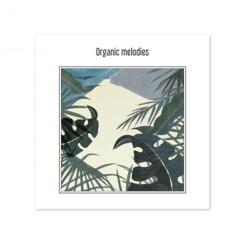 Lilistudio - 專輯封面設計