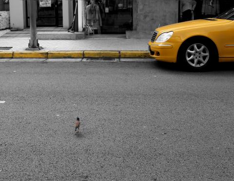 youren Chen - 汽車