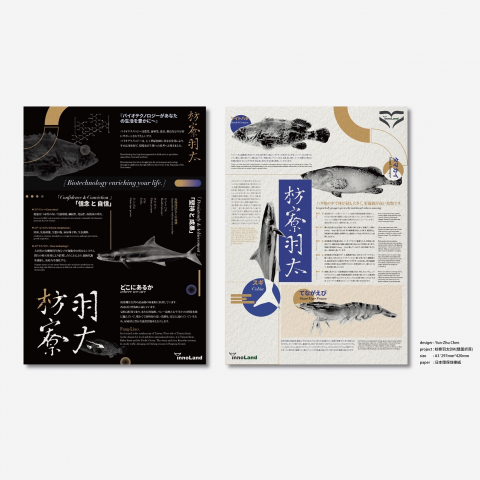 GHYZ design studio - DM設計