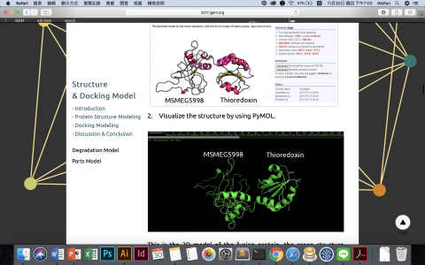 網站架設獨立接案 - igem-wiki 頁面截圖